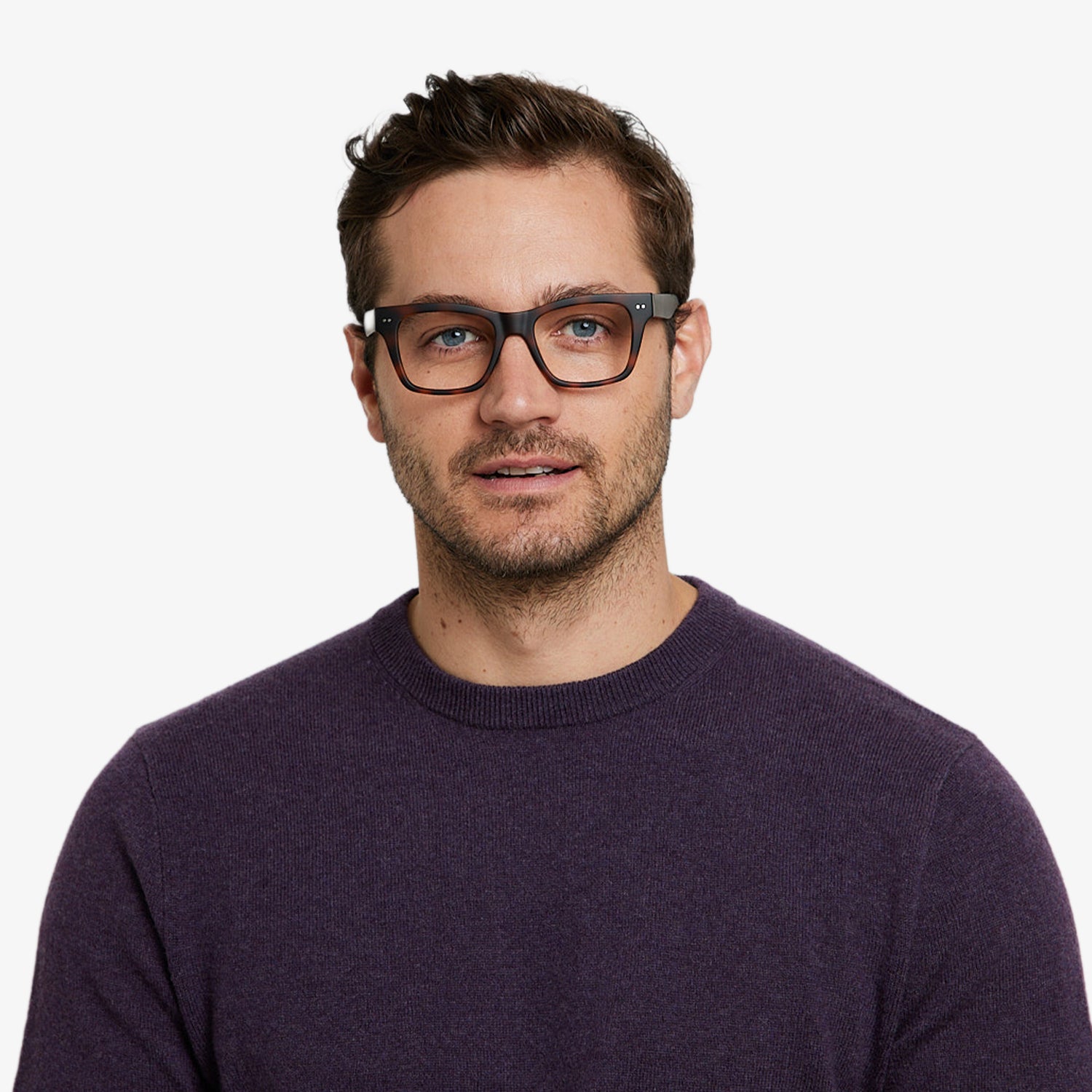 cosmo__cosmo-progressives_tortoise_005_1500x.jpg
