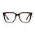 Tortoise